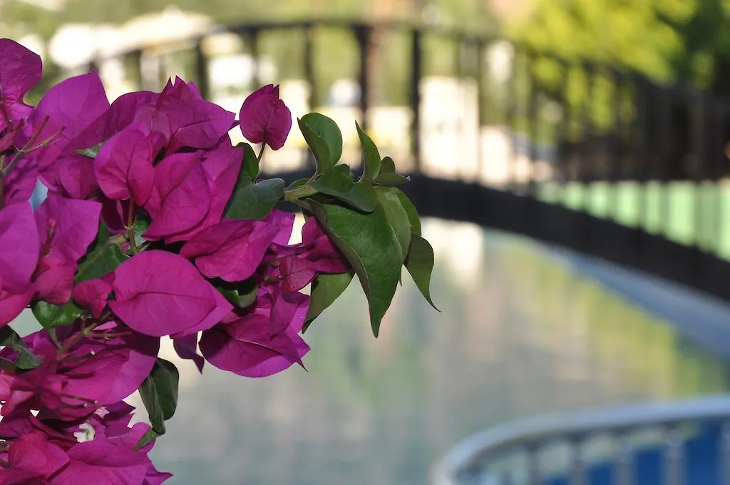 Ale Suite Hotel Torba